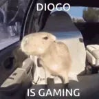 ok i pull up capybara (copy)