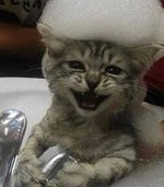 Toreador song but only the fnaf part - Sound