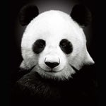 Stranger Things Type Beat