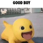 Mommy good boy no brain james