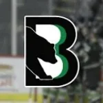 Binghamton Blackbears Goal Horn