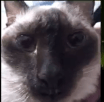 летсплей по geometry dash 2