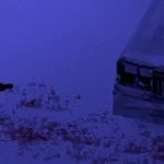 male whimpering crying