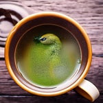 green tea