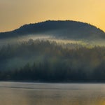 kees does a nono Trim