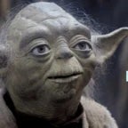 Yoda Seaguls stop it