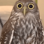 look how calm she is