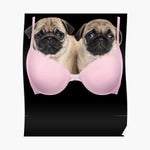 ich kann nicht canbroke shorts shorts L7p2YuWm