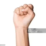 unser rostock (faust)