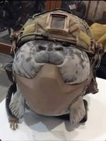 Nigerian Church Radio IMMPOSIBLE