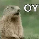 quien te pidio tu opinion p. 3