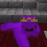 I AM THE STRONGEST PLAYER ON THIS SMP