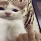 Recording 08/07/25 21:09:05