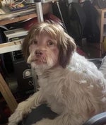 Dark Souls Reseña Critica