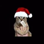 ey negro ela tuka original