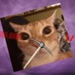 Ahoj jsem tvuj soused