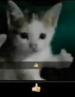 Windows 7 Startup - Sound