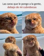 acto acto pide contacto! argetina pa pa