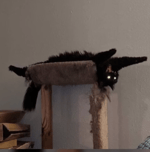 dont run from the lord