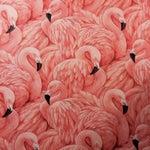 flamingo bird sounds