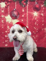 MARKO GLASS X JO KLASS BORA BORA (Official Video)