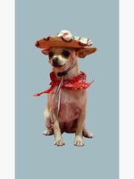 random slowed goofy laugh