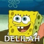 Hey There Delilah (VOCALS)