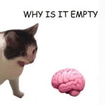 im getting really sick of you