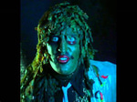 Im old Gregg 2