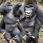 gorilla tag