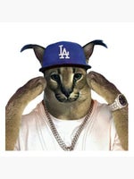 android notification earape