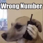 THE NUMBER YOU HAVE DIALED IS NOT IN SERVICE