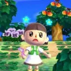 animal crossing new leaf 8am theme