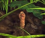 tu fermes ta gueule toi fdp hérvé