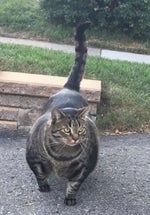 The only thing they fear is you 2