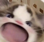 SET FIRE TO THE RAIN HARDSTYLE