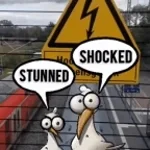 Killed Me with the Stun