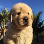 share 932cce6da8032c115878fa8cda725c45