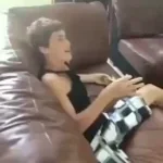 Hoya in hobbycraft Aligoily