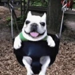 _i-am-bibble-wash-my-belly-youtubemp3free.org