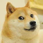 doge music