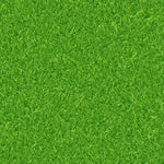 They Call Me a God NEFFEX