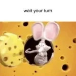 RAP RAT IS THE BOSS (copy)