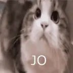 cricket - HERBERT E CLARK