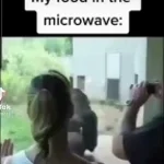 microwave noises