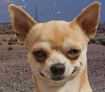 асуждаю - Sound