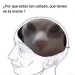 WEEY QUE ES LO QUE ESTA DETRAS DEL PALO