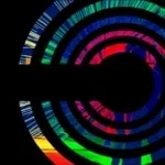 TrapStar "Ride With Me"