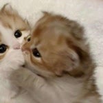 Sa Susunod Na Lang Skusta Clee ft