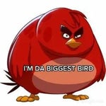im da biggest bird